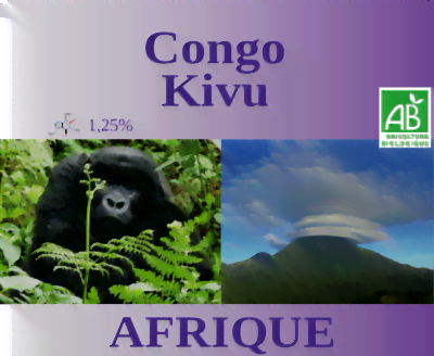 Congo Kivu